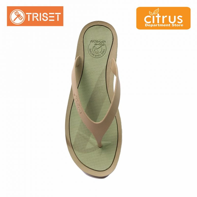 Citrus Department Store