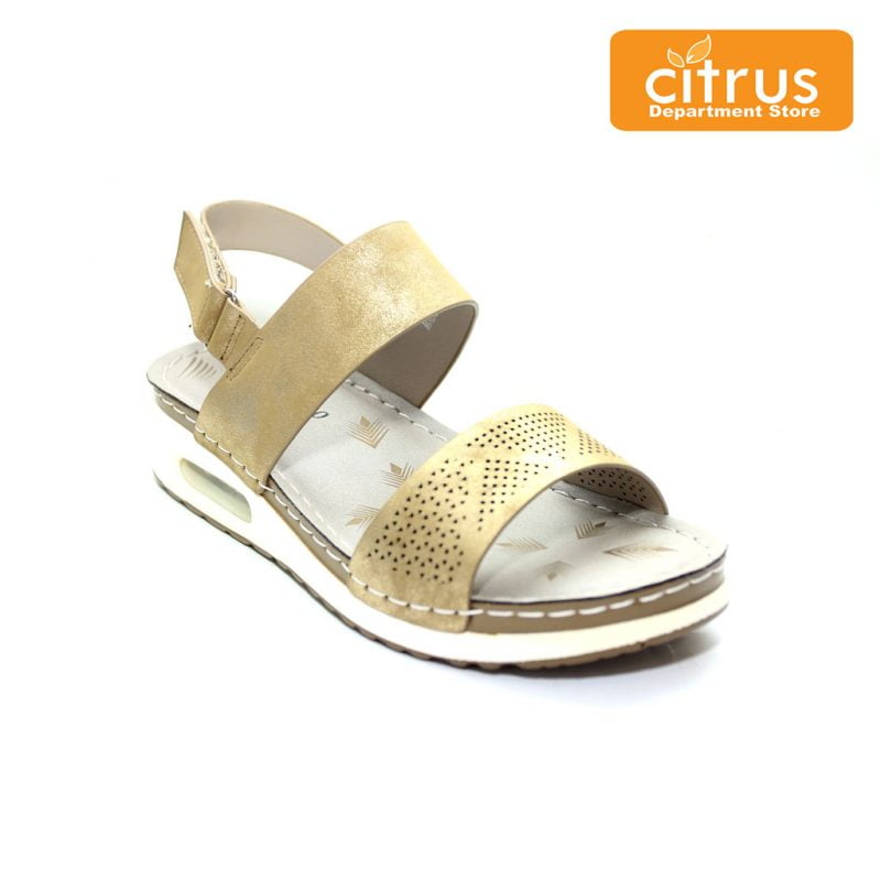 Citrus Department Store